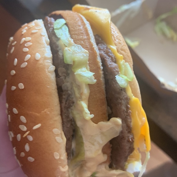 Meet your Posher, Abby - Picture 1 of 1